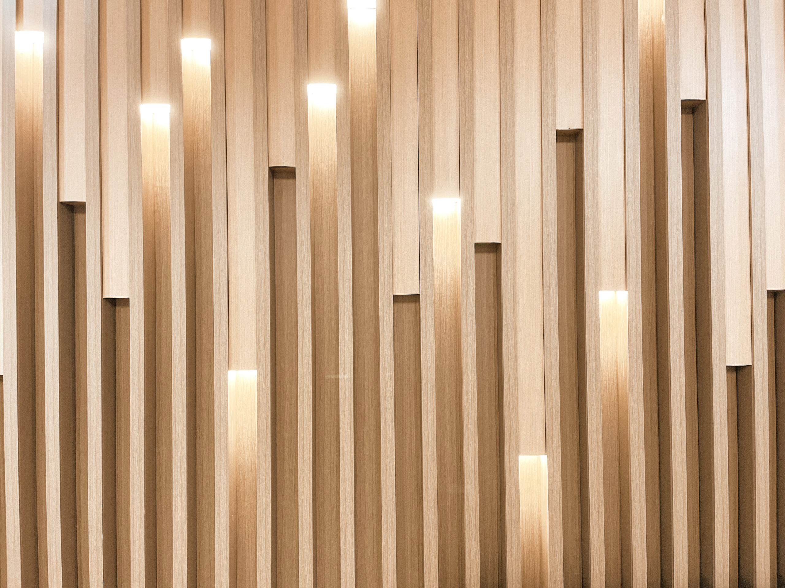 馬鞍山聖若瑟小學12